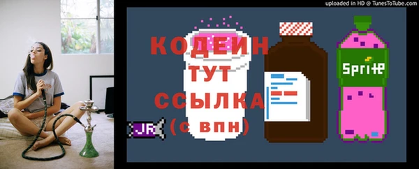ECSTASY Богородицк