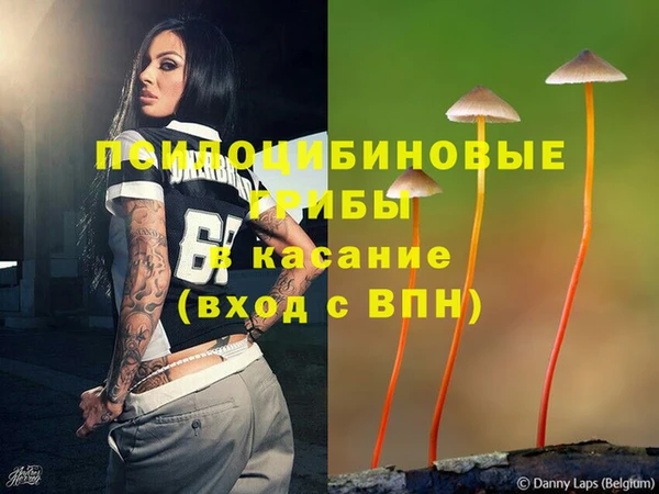 синтетический гашиш Богданович