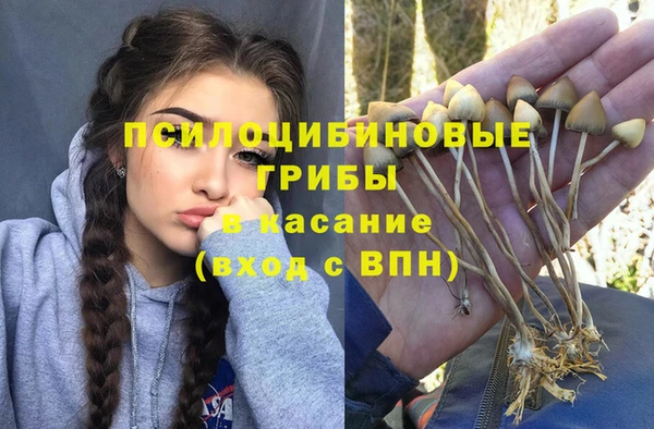 МДМА Белокуриха