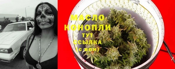 ECSTASY Богородицк