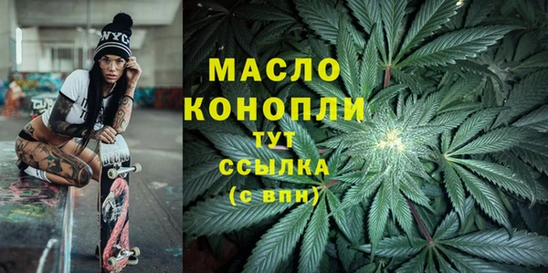 ECSTASY Богородицк